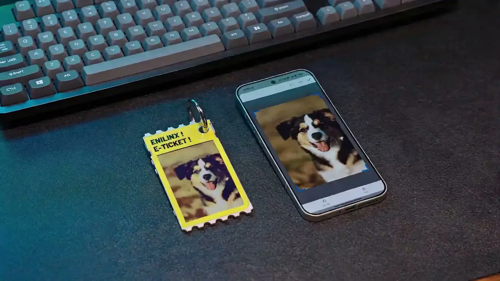 TICKEY color e-paper card next to a phone with a matching dog photo